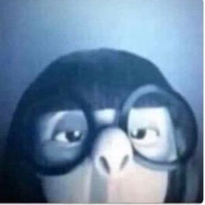 Meet your Posher, Briell